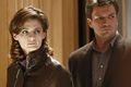 Filename=Castle-207-013.jpg
Filesize=176KiB
Dimensions=1500x1000
Date added=Jan 15, 2012 Castle-207-013.jpg