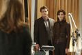 Filename=Castle-207-014.jpg
Filesize=171KiB
Dimensions=1500x1000
Date added=Jan 15, 2012 Castle-207-014.jpg