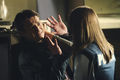 Filename=Castle-301-001.jpg
Filesize=1009KiB
Dimensions=3000x2000
Date added=Feb 02, 2012 Castle-301-001.jpg