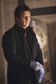 Filename=Castle-301-006.jpg
Filesize=1053KiB
Dimensions=2000x3000
Date added=Feb 02, 2012 Castle-301-006.jpg