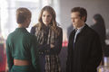 Filename=Castle-412-008.jpg
Filesize=995KiB
Dimensions=3000x2000
Date added=Jan 14, 2012 Castle-412-008.jpg