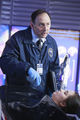 Filename=Castle-506-015.jpg
Filesize=929KiB
Dimensions=2000x3000
Date added=Feb 27, 2014 Castle-506-015.jpg