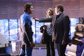 Filename=Castle-506-018.jpg
Filesize=1223KiB
Dimensions=3000x2000
Date added=Feb 27, 2014 Castle-506-018.jpg