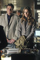 Filename=Castle-523-002.jpg
Filesize=1322KiB
Dimensions=1996x3000
Date added=Mar 05, 2014 Castle-523-002.jpg