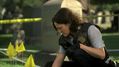 CSI-1101-SC-175.jpg