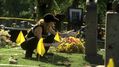 CSI-1101-SC-178.jpg
