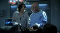 CSI-1101-SC-309.jpg