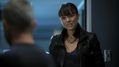 CSI-1102-SC-246.jpg
