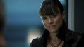 CSI-1102-SC-254.jpg