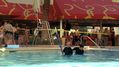 CSI-1102-SC-272.jpg