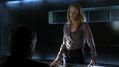 CSI-1102-SC-484.jpg