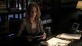 CSI-1102-SC-498.jpg
