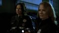 CSI-1102-SC-520.jpg