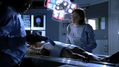 CSI-1103-SC-085.jpg