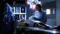 CSI-1103-SC-096.jpg
