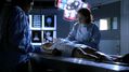 CSI-1103-SC-097.jpg