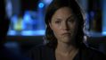 CSI-1103-SC-229.jpg
