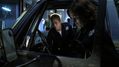 CSI-1103-SC-390.jpg