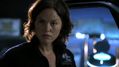 CSI-1103-SC-395.jpg