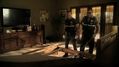 CSI-1104-SC-414.jpg