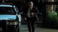 CSI-1104-SC-498.jpg