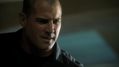CSI-1104-SC-519.jpg