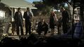 CSI-1105-SC-391.jpg