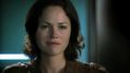 CSI-1105-SC-421.jpg