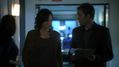 CSI-1105-SC-515.jpg