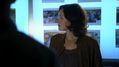 CSI-1105-SC-529.jpg