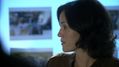 CSI-1105-SC-537.jpg