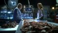 CSI-1107-SC-104.jpg