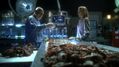 CSI-1107-SC-113.jpg