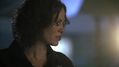 CSI-1107-SC-393.jpg