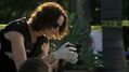CSI-1107-SC-397.jpg