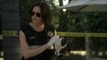 CSI-1107-SC-409.jpg