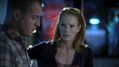 CSI-1107-SC-461.jpg