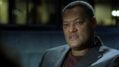 CSI-1107-SC-585.jpg
