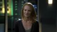 CSI-1107-SC-604.jpg