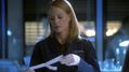 CSI-1108-SC-080.jpg