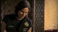 CSI-1109-SC-353.jpg