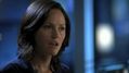 CSI-1110-SC-362.jpg