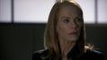 CSI-1110-SC-482.jpg