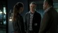 CSI-1111-SC-373.jpg
