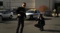 CSI-1113-SC-102.jpg