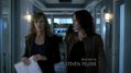 CSI-1113-SC-111.jpg