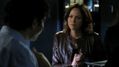CSI-1113-SC-417.jpg