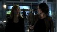 CSI-1113-SC-501.jpg