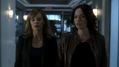 CSI-1113-SC-502.jpg