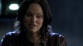 CSI-1113-SC-509.jpg
